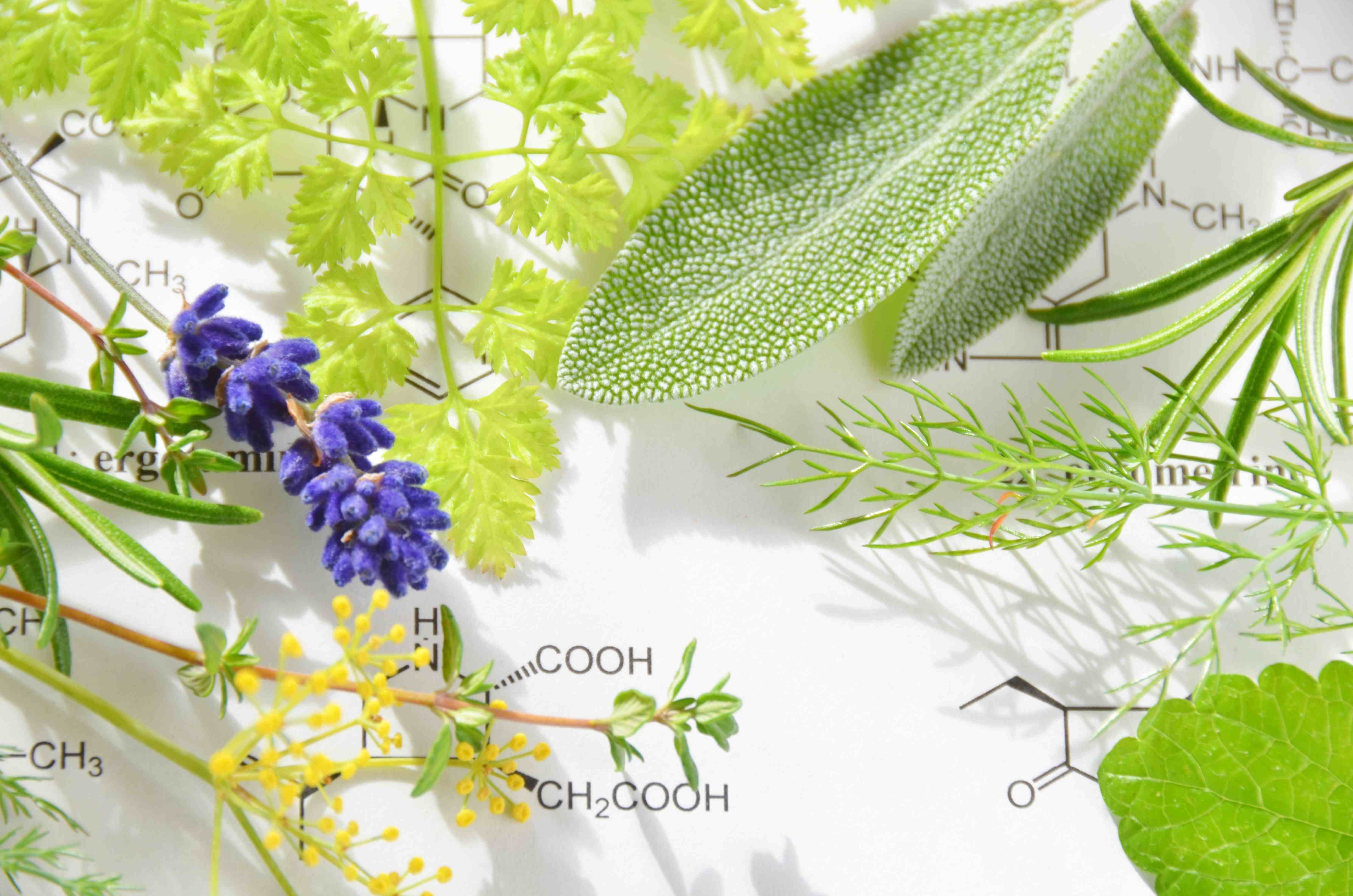 Aromatherapie mit ätherischen Ölen