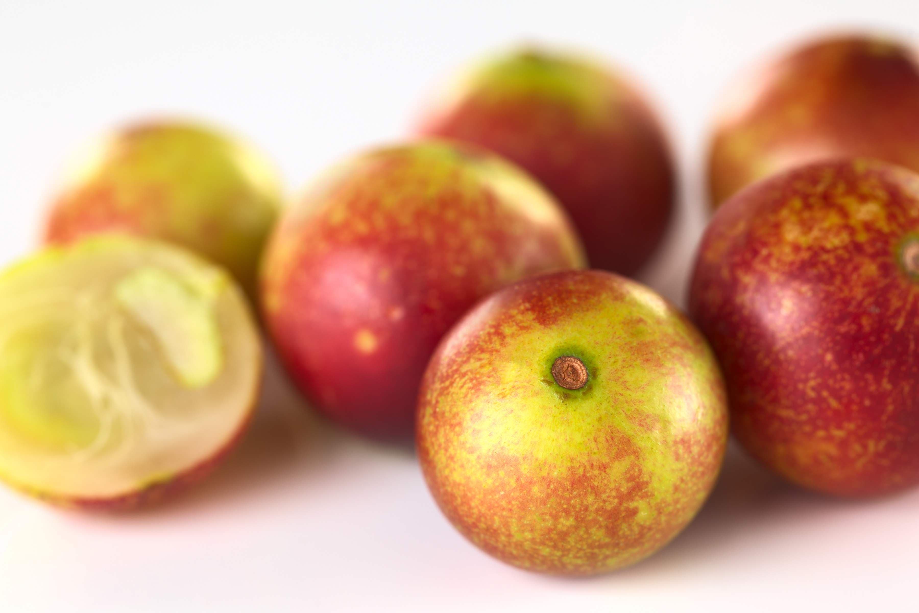 Camu Camu – die Vitamin-C-Pflanze des Amazonas
